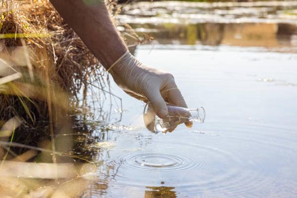 The Chemistry of Pool Water: Insights from Pool Scientists